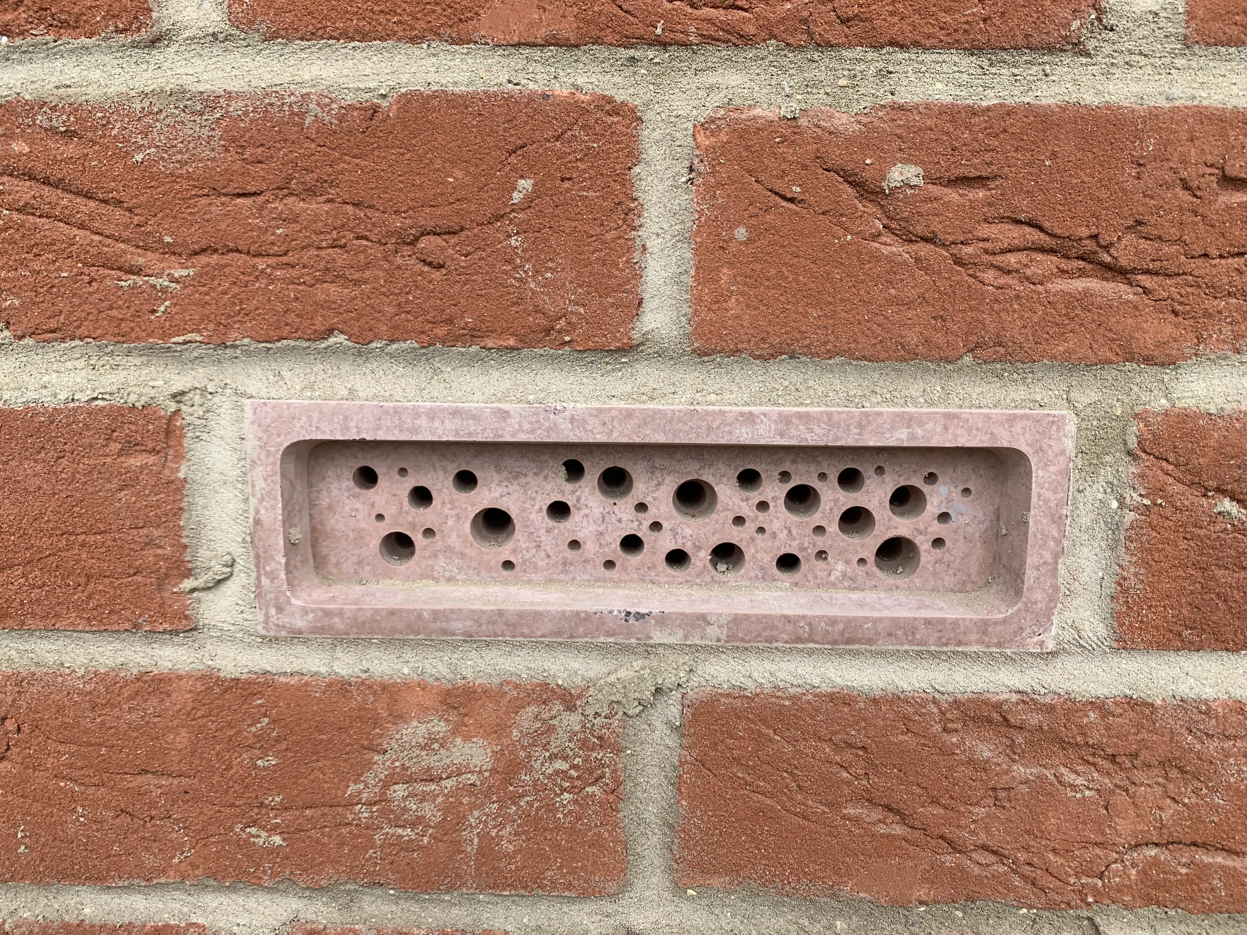 Bee-Brick-Image.JPG#asset:4250